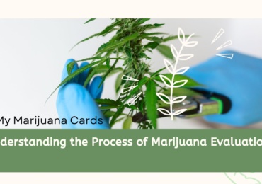marijuana evaluation