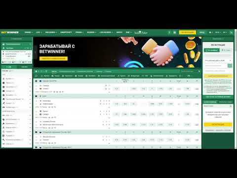 Understanding Pelican Partners A Comprehensive Overview